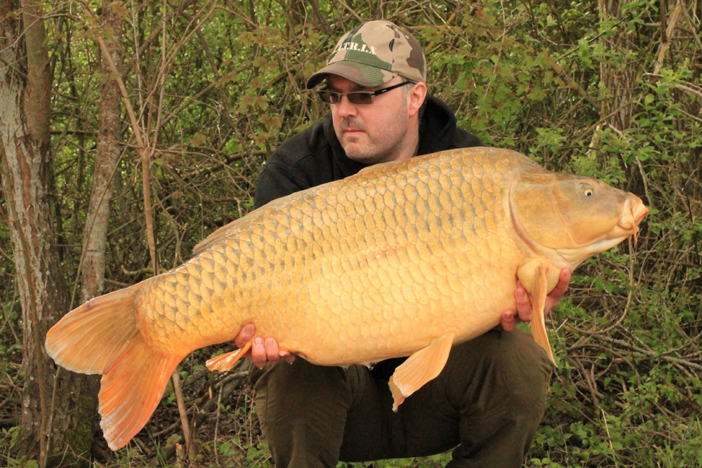 A Recent 50.04 Common